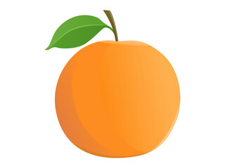 Orange fruit vector illustration. Orange citrus with leaf on a white background