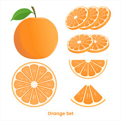 vector collection of fresh oranges. Orange fruit isolated on a white background. Vector illustration for design and print