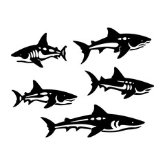 shark illustration isolated on white background