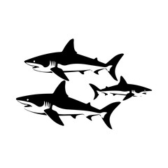 shark illustration isolated on white background