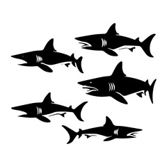 shark illustration isolated on white background