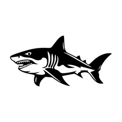 shark illustration isolated on white background