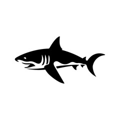 shark illustration isolated on white background