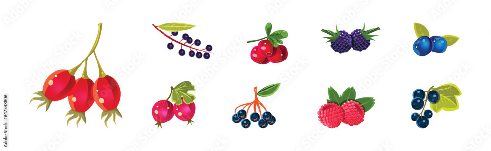 Wall mural ripe juicy berry as garden sweet crop vector set