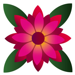 lotus flower isolated on white