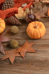 autumn background with dried leaves, cones and pumpkin on wooden table with copy space