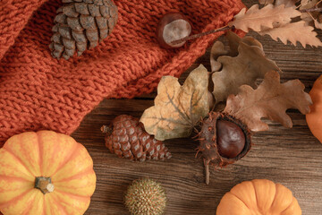 autumn background with dried leaves and pumpkin on wooden table