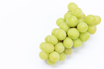 白バックとシャインマスカット