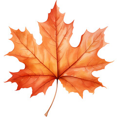 Obraz premium Untitled design - 40