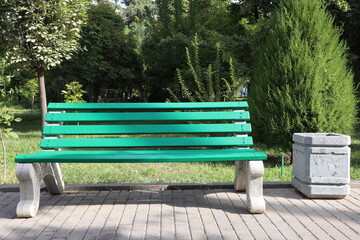 Green bench in the park. Park bench in the city park.