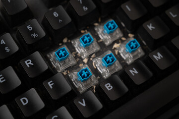 Close-up of a dirty mechanical keyboard with blue switches, with some keycaps removed and lot of debris visible.