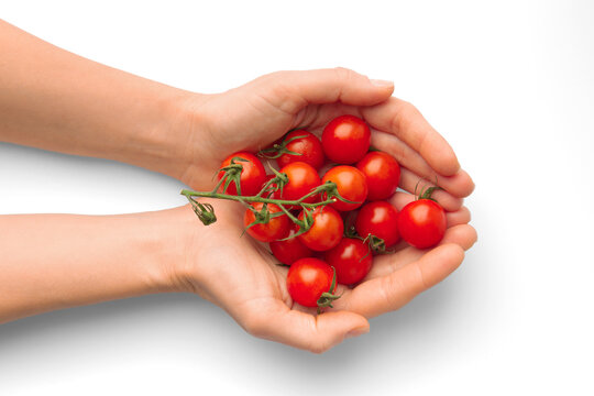 Cherry tomatoes in female hands on a white background