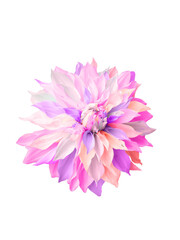 pink,white,purple,orange petals dahlia flower