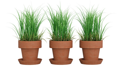 Young green grass in pot or artificial green grass in ceramic pot