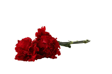 PNG, mourning candle isolated on white background.