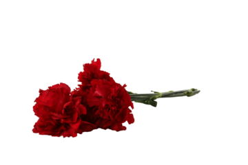 PNG, mourning candle isolated on white background.