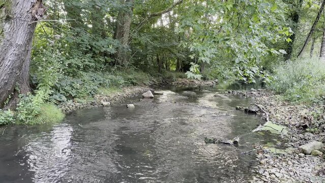 Petite rivi&egrave;re - La Boivre - Biard - Poitiers - Vienne - France
