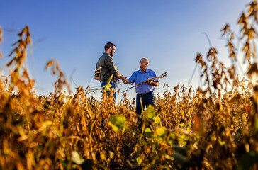 Two farmers in soy field making agreement with handshake before harvest at sunset. © Zoran Zeremski