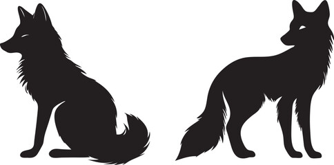 black and white fox animal