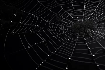 Foto op Aluminium Design of a spider web for the Halloween party. Generative AI. © Agustin