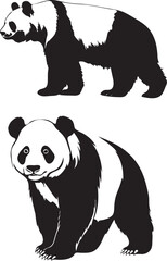 panda bear vector