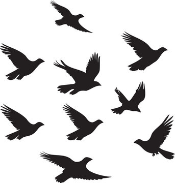 Silhouettes of birds flock flying