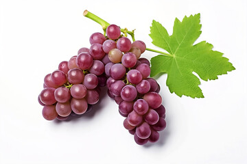Vineyard's Jewel: Lustrous Grapes Close-Up - Timeless Fruit Elegance Captured