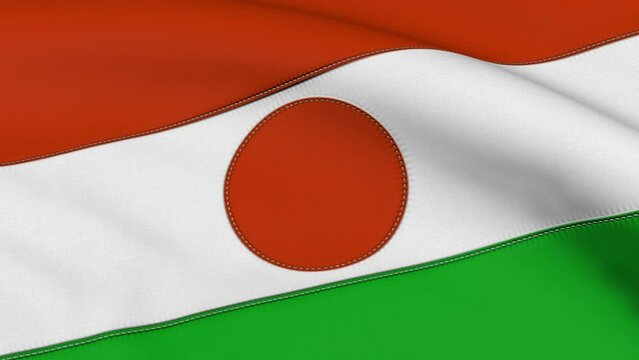Niger Flag Loop Background