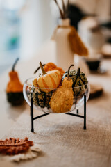 Makramee DIY Workshop Tutorial