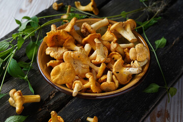 mushrooms 
mushrooms n a bowl
rustic style
Chanterelle mushrooms
food
