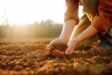 Farmer's woman's hands touch the soil in the field. Women's hands hold the soil, checking the quality, health of the soil. Concept of gardening, agriculture.