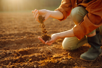 Farmer's woman's hands touch the soil in the field. Women's hands hold the soil, checking the quality, health of the soil. Concept of gardening, agriculture.