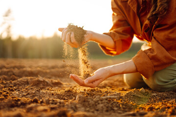 Farmer's woman's hands touch the soil in the field. Women's hands hold the soil, checking the quality, health of the soil. Concept of gardening, agriculture.
