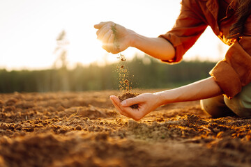 Farmer's woman's hands touch the soil in the field. Women's hands hold the soil, checking the quality, health of the soil. Concept of gardening, agriculture.