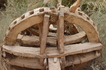 Saqiyah Khashaba, ancient agriculture using cows in the countryside of northern Sudan