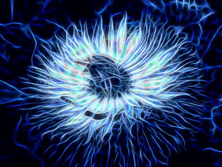 exploding floral fantasy ice blue with plasma electrical discharge and sparks