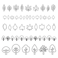 秋　葉　紅葉　葉のシルエット　木　樹木　フレーム　アイコン