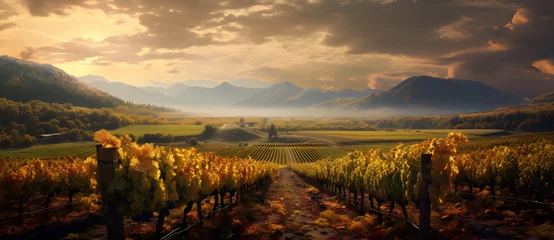  autumn scene of a farm vineyard and mountains © shirly