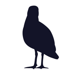seagull silhouette on white background vector