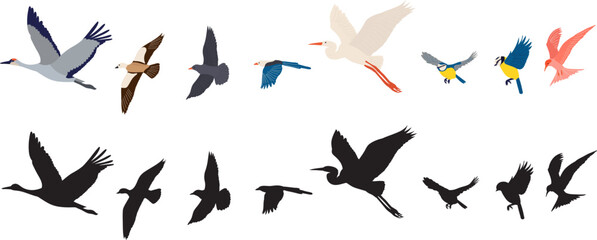 flying birds in flat style on white background vector