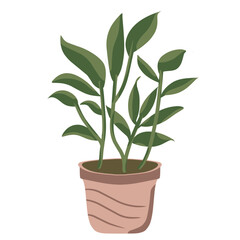 Houseplant Illustration 