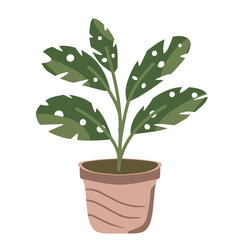 Houseplant Illustration 