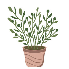 Houseplant Illustration 