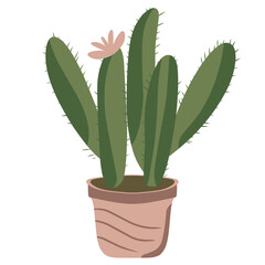 Houseplant Illustration 