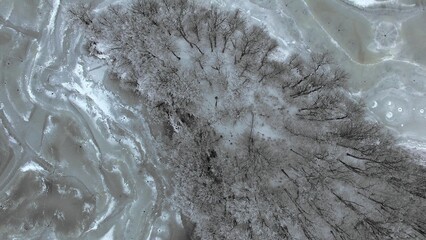 Vertical Aerial of Frozen Lake and Snowy Forest