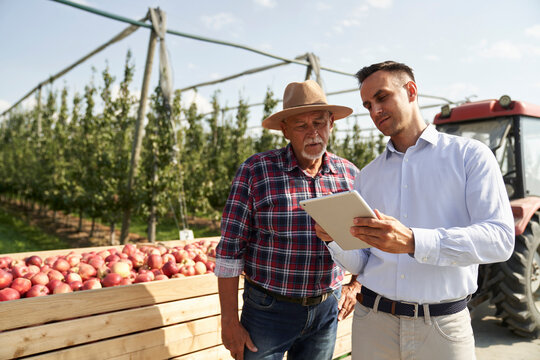 Senior farmer and sales representative talking over digital tablet on apple orchard