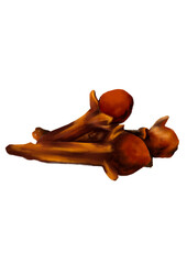 Indonesian Spice Cloves Illustration