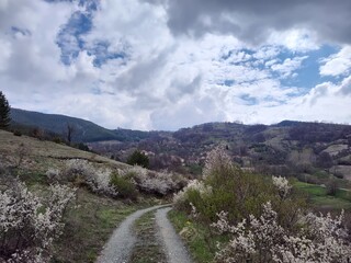 nature and panorama of the countryside in Sebia
