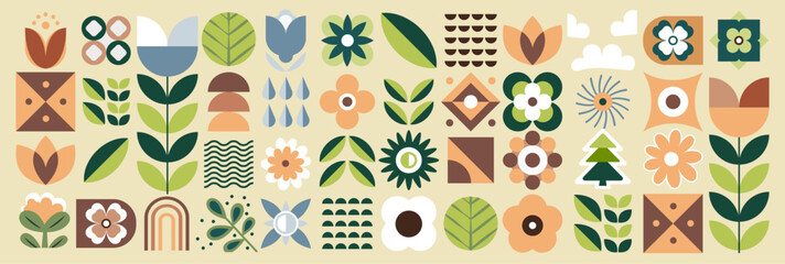 Geometric natural pattern. Minimal flower fruit plant simple shapes, abstract eco agriculture concept