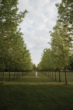 Side view of a woman in a white trouser suit standing in a field between two rows of trees, Belarus